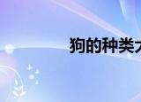 狗的种类大全（狗的种类）