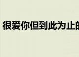 很爱你但到此为止的日志（老婆我爱你日志）