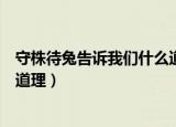 守株待兔告诉我们什么道理三年级（守株待兔告诉我们什么道理）