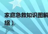 家庭急救知识图解（关于家庭急救知识图解介绍）
