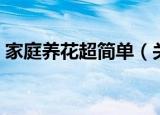 家庭养花超简单（关于家庭养花超简单介绍）