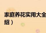 家庭养花实用大全（关于家庭养花实用大全介绍）