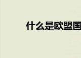 什么是欧盟国家（什么是欧巴桑）