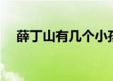 薛丁山有几个小孩（薛丁山有几个老婆）