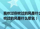 我吹过你吹过的风是什么歌名我走过你走过的路（我吹过你吹过的风是什么歌名）