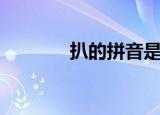 扒的拼音是什么（扒的拼音）