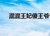 混混王妃傻王爷txt（混混王妃傻王爷）
