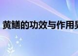 黄鳝的功效与作用男性（黄鳝的功效与作用）