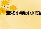 宠物小精灵小霞结局（宠物小精灵小霞）