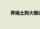 养殖土狗大棚造价（养殖大棚造价）