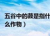 五谷中的菽是指什么东西（五谷中的菽是指什么作物）