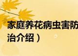 家庭养花病虫害防治（关于家庭养花病虫害防治介绍）