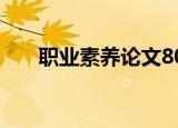 职业素养论文800字（职业素养论文）