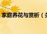 家庭养花与赏析（关于家庭养花与赏析介绍）