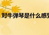 对牛弹琴是什么感受（对牛弹琴是什么意思）