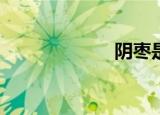 阴枣是做什么的？