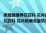 家庭健康养花百科 花卉的病虫害防治方法（关于家庭健康养花百科 花卉的病虫害防治方法介绍）