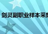 剑灵副职业样本采集需要什么（剑灵副职业）