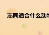 志同道合什么动物（志同道合什么意思）