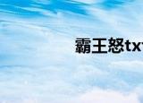 霸王怒txt下载（霸王怒）