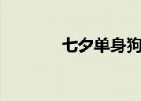 七夕单身狗视频（七夕单身）