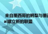  来自墨西哥的鳄梨与墨西哥巨星塔利亚 索迪和MyFitnessPal建立新的联盟