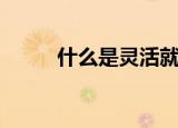 什么是灵活就业者（什么是灵修）