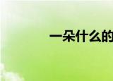 一朵什么的白云（一朵什么）