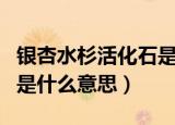 银杏水杉活化石是什么意思（银杏水杉活化石是什么意思）