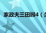 家政夫三田园4（关于家政夫三田园4介绍）