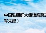 中国驻朝鲜大使馆祭奠志愿军（中国驻朝鲜大使馆祭奠志愿军先烈）
