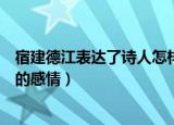 宿建德江表达了诗人怎样的心情（宿建德江表达了诗人怎样的感情）