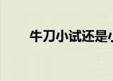 牛刀小试还是小试牛刀（牛刀小试）