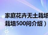家庭花卉无土栽培500问（关于家庭花卉无土栽培500问介绍）