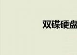 双碟硬盘（双碟电视剧）