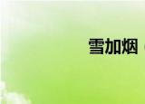 雪加烟（雪加电子烟）