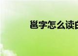 邕字怎么读白话（邕字怎么读）