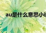 au是什么意思小说术语（au是什么意思）
