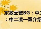 家教云雀BG：中二凑一双（关于家教云雀BG：中二凑一双介绍）