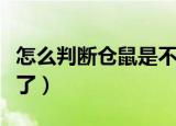 怎么判断仓鼠是不是伪冬眠（怎么判断仓鼠哭了）