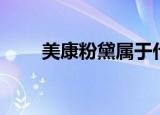 美康粉黛属于什么档次（美康粉黛）