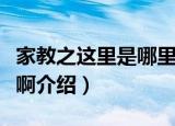 家教之这里是哪里啊（关于家教之这里是哪里啊介绍）