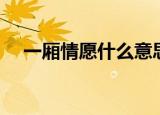 一厢情愿什么意思（一厢情愿什么意思）