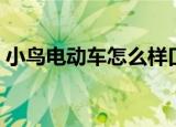 小鸟电动车怎么样口碑（小鸟电动车怎么样）