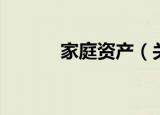 家庭资产（关于家庭资产介绍）
