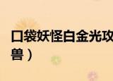 口袋妖怪白金光攻略二周目（口袋妖怪白金神兽）
