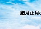 腊月正月小说（腊月正月）