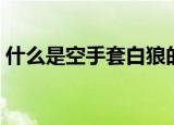 什么是空手套白狼的人（什么是空手套白狼）