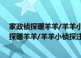 家政侦探暖羊羊/羊羊小侦探注音图画故事书（关于家政侦探暖羊羊/羊羊小侦探注音图画故事书介绍）