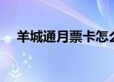 羊城通月票卡怎么申请（羊城通月票卡）